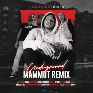 Undaground (feat. C.KRETZ, Mr. Braggart, Def ILL, Enno Five, Socn, DEVA, Teejay, Haag Fv, Jedal Strange, BenJo, AYE-sight, Endless 92, Grandmaster Flow & Lenny420) (Mammut Remix|Explicit)