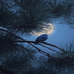 Love Me Like a Whitley Song