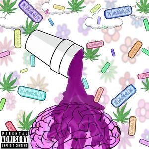 Mind Of A Drug Addict (Explicit)