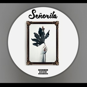 Senorita (Explicit)