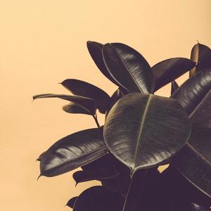 Glow (Alpiine Remix)