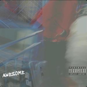 awesome ( freestyle) [Explicit]