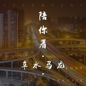 陪你看车水马龙
