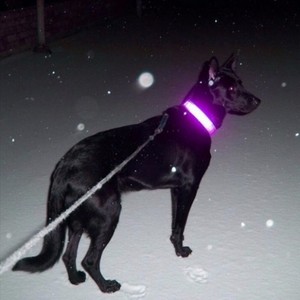 White Blood (Prod HOUNDS)