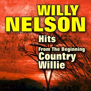 Country Willie (Original Artist Original Songs)