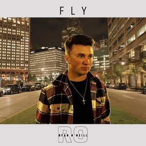 Fly