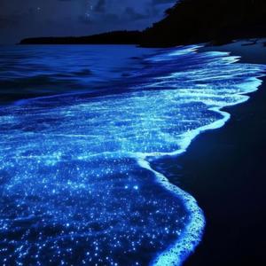 turn on me (Explicit)