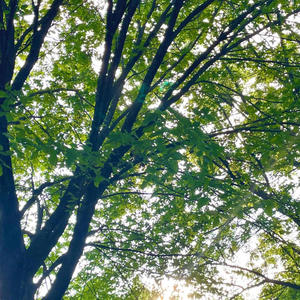 Depths (feat. Karen Orrick)