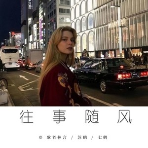 房间 (DJ版|DJ歌者林言、DJ七鹤、DJ苏鹤版)封面
