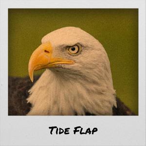 Tide Flap