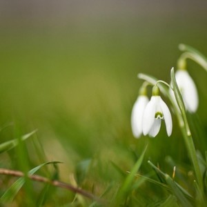 花开在眼前Colin