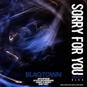 Blaqtown - Sorry For You (feat. JAYSUPREME, HoodGrownBaebe, Grant Karabo & Babymac) (Explicit)