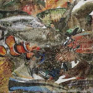 vanz (feat. hanq) (Explicit)