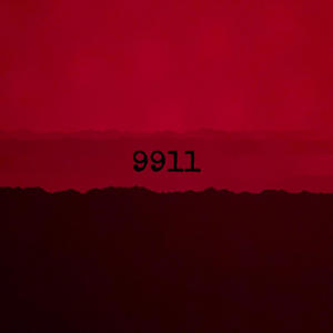 9911 (feat. Pandapowerz) [Explicit]