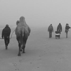 The Moon Appears When The Water Is Still (feat. Andreas Bral & Raf Vertessen)