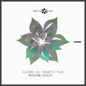 Missing Pieces