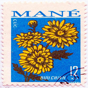 mané (feat. LEAN & WAVS) (Explicit)