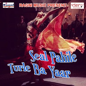 Seal Pahile Turle Ba Yaar