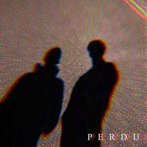 Perdu (feat. Healmind)