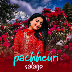 Pachheuri Salaijo