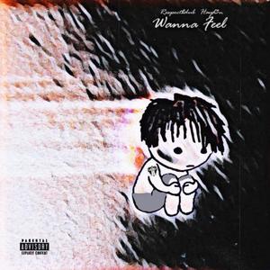 Wanna Feel (feat. Hayd3n) (Explicit)