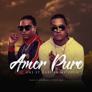 Amor Puro(feat. Gaby la Melodia)