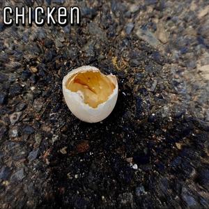 Chicken (Explicit)