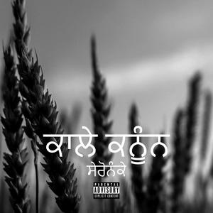 Kaale Kanun(feat. Panda Productions) (Explicit)