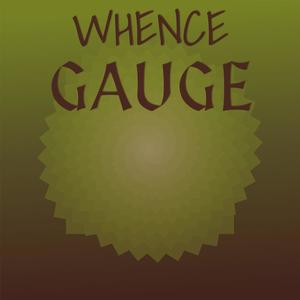 Whence Gauge