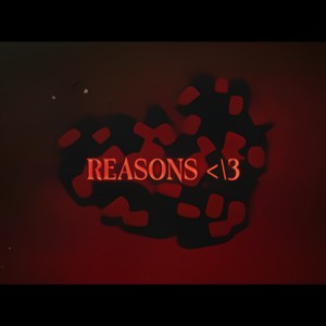 REASONS </3