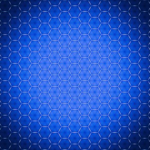 The Other Perspective