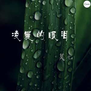 凌晨的眼泪