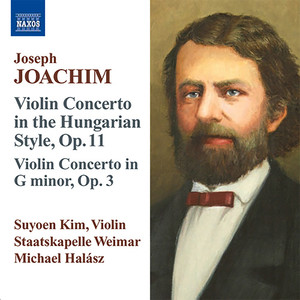 Violin Concerto in D Minor, Op. 11, 