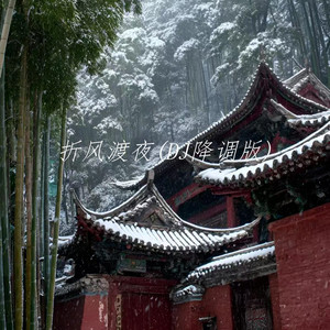 我折一缕清风渡落雪的夜 (DJ降调版)