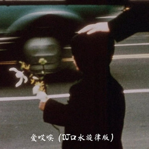 爱哎唉 (DJ口水旋律版)