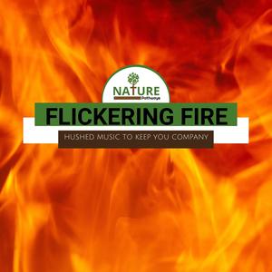 Flickering Fire - Hushed Music to Keep You Company