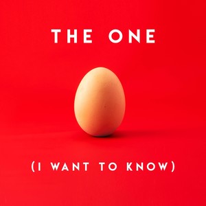 The One(I Want to Know)