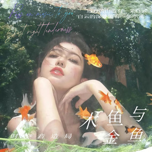 木鱼与金鱼 (R&B)封面