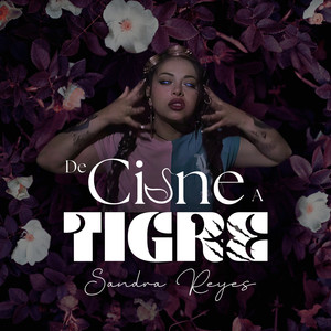 De Cisne a Tigre
