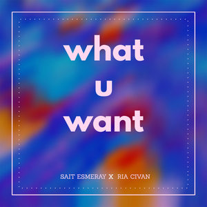 What U Want