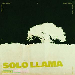 Solo llama (Explicit)