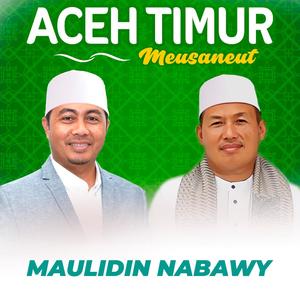 Aceh Timur Meusaneut