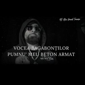 PUMNU' MEU BETON ARMAT (feat. Vocea Bagabontilor) (Explicit)