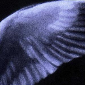 wash my sins (Explicit)