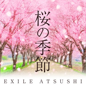 桜の季节 (樱花的季节) (オルゴール Ver.)