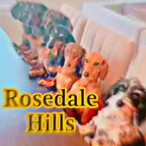 Rosedale Hills