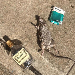 I DIDNT WANNA GO (Explicit)