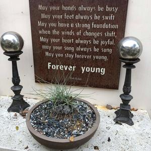 I Miss You & Your Spirit Will Always Guide Me Through