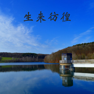 美丽世界的孤儿