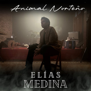 Pingüinos En La Cama